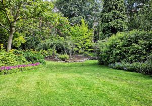 Optimiser l'expérience du jardin à Blars
